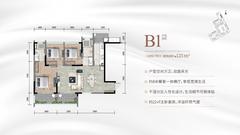 成都轨道凤舞七里北苑、成都轨道凤舞七里西苑1期3室2厅2卫125.00平户型