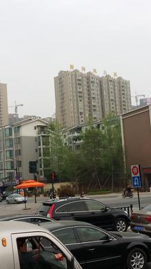 新神风八座实景图