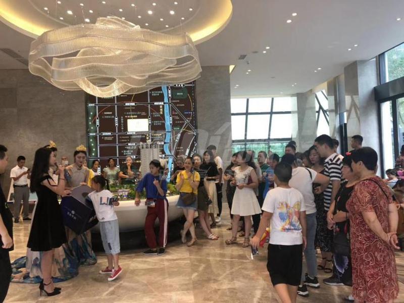 活动照片