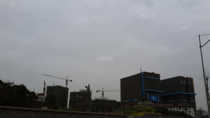 工程进度