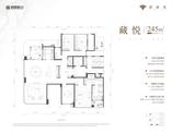 藏悦N