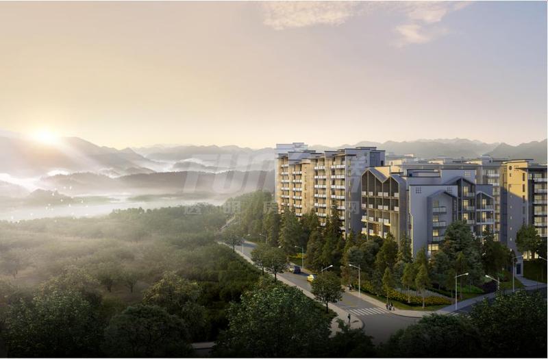 建筑效果