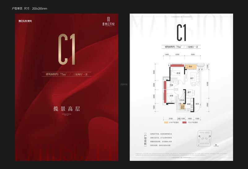 C1