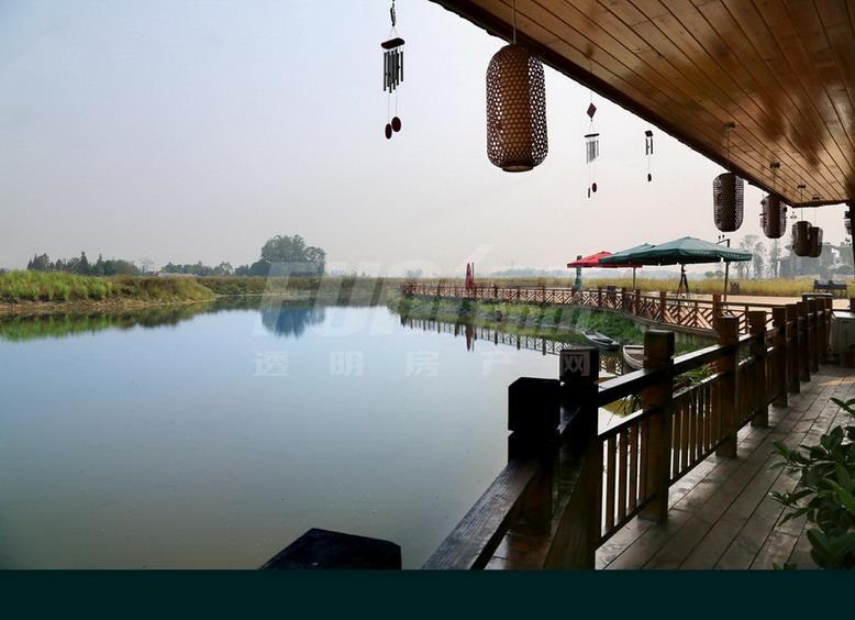 云湾板块