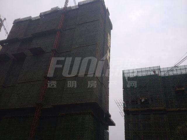 工程进度