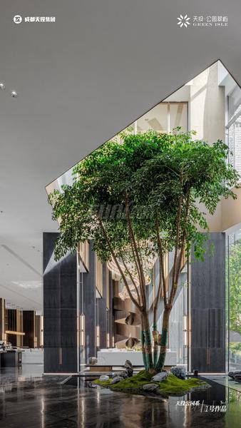 实景图