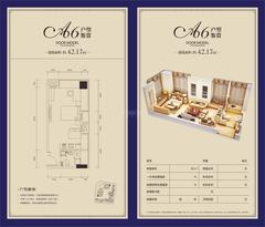 西门先生42.17平户型