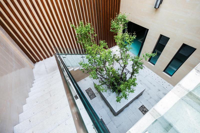 实景图