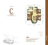C-3
