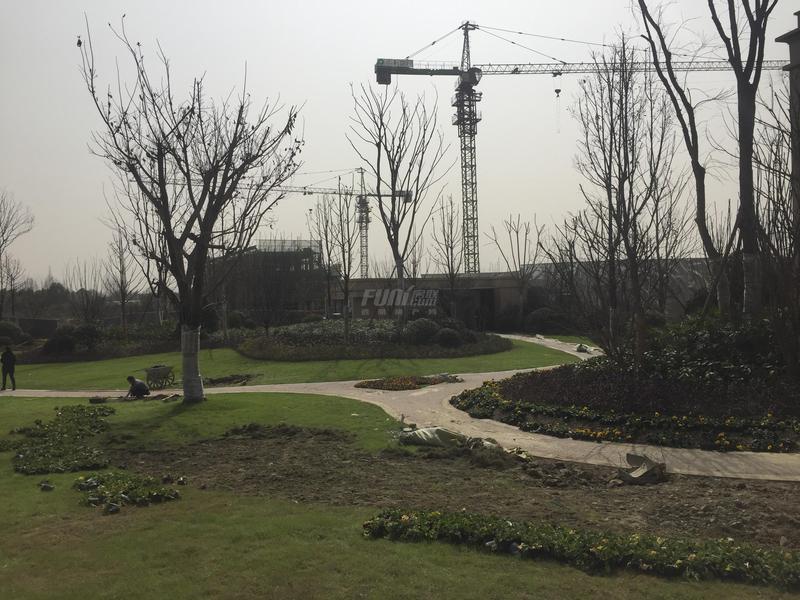 项目实景图