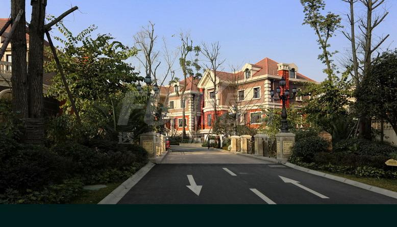 上林西江国际社区实景图