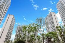 汇悦府1期实景图