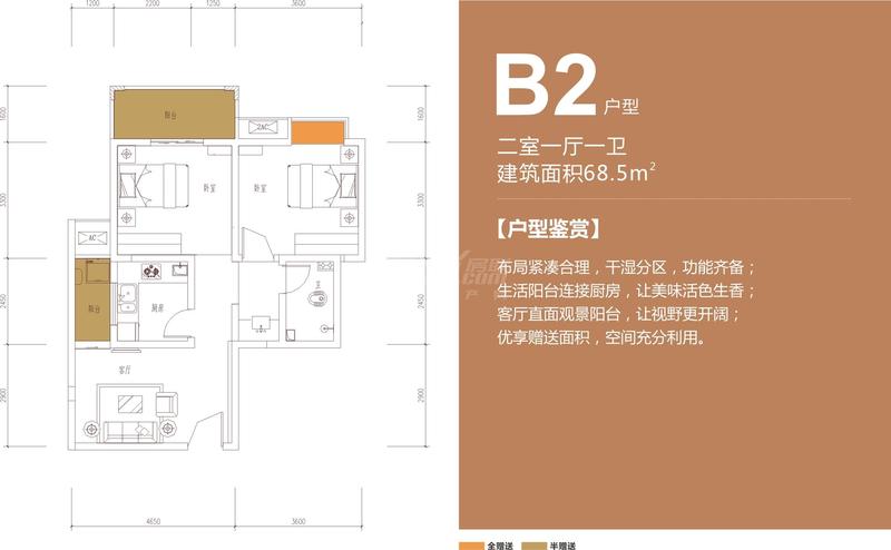 B2
