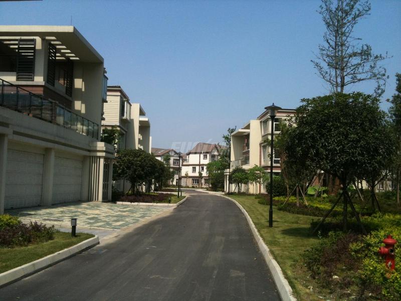 实景图
