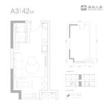 A3