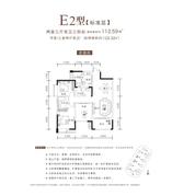 E2型