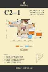 C2-1