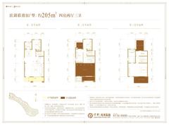 保利两河森林205.00平户型