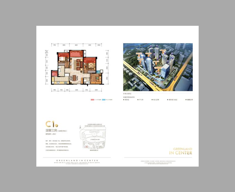 C1