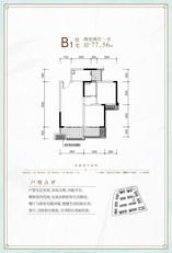 B-5地块B1户型