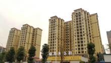 蜀青·丽晶府1期实景图
