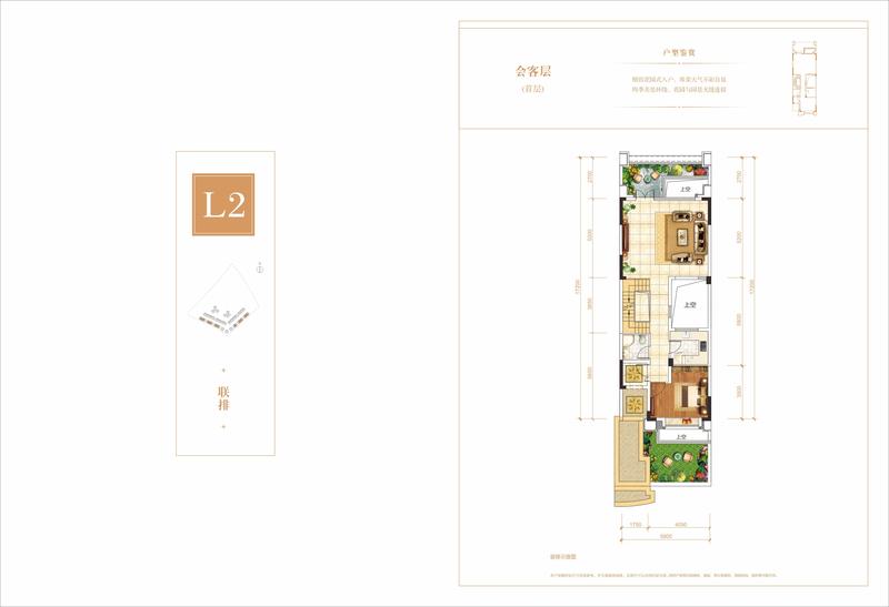 L2联排中间户