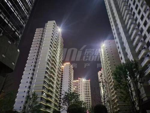 外滩·东岸天宸1期实景图