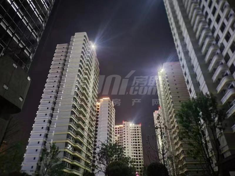 实景图