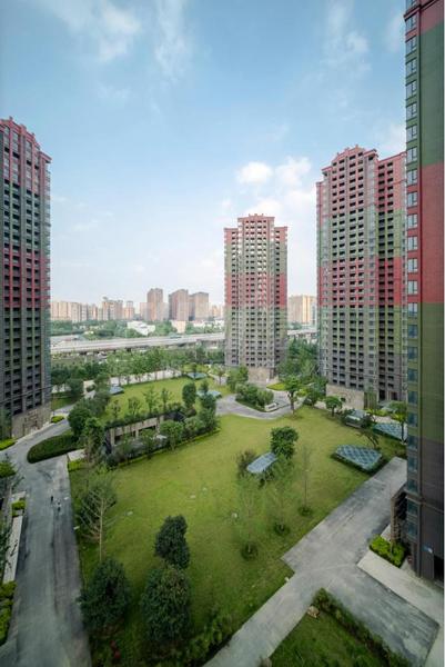 项目实景图