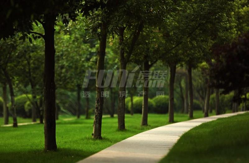 效果图5