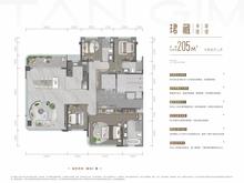 新川天珺上珺小区1期4室2厅3卫205.00平户型