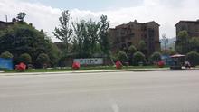 中信云栖谷二期实景图