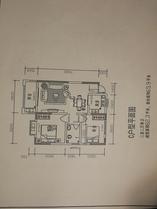 户型图12