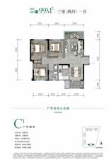 C1