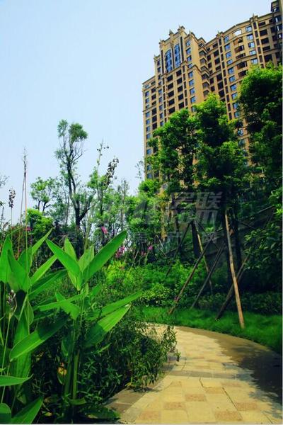 小区园林实景
