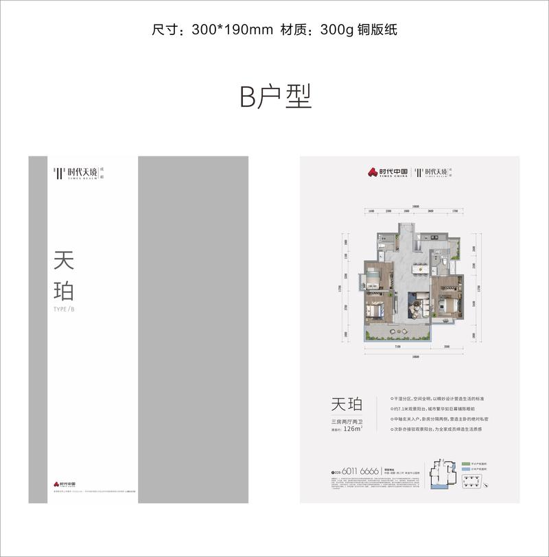 B户型