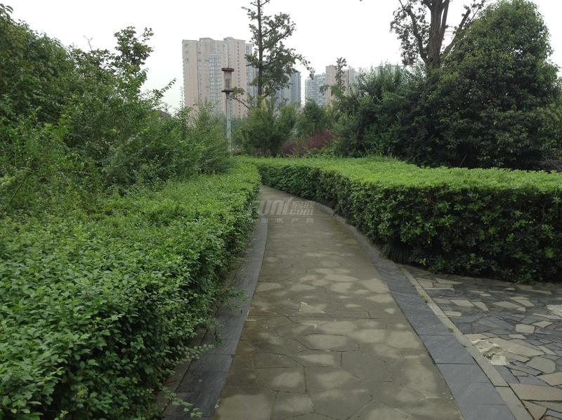 沙河公园一角