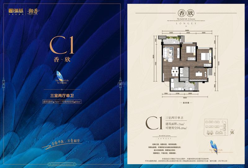 C1