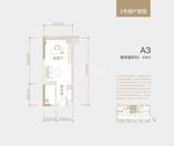 A3