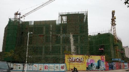 金泉秀岭实景图