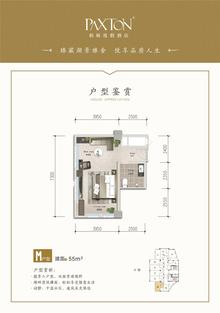 水岸 天成1期58.00平户型