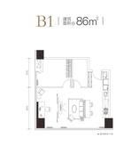B1