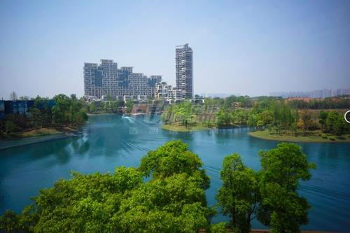 麓湖生态城50期效果图