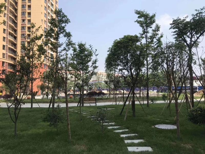 实景拍摄
