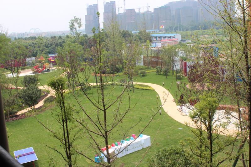 实景图