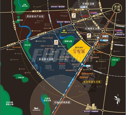 蓝光金悦城区位图