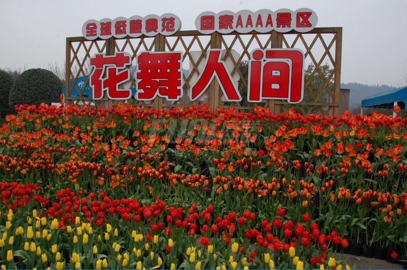 花舞人间