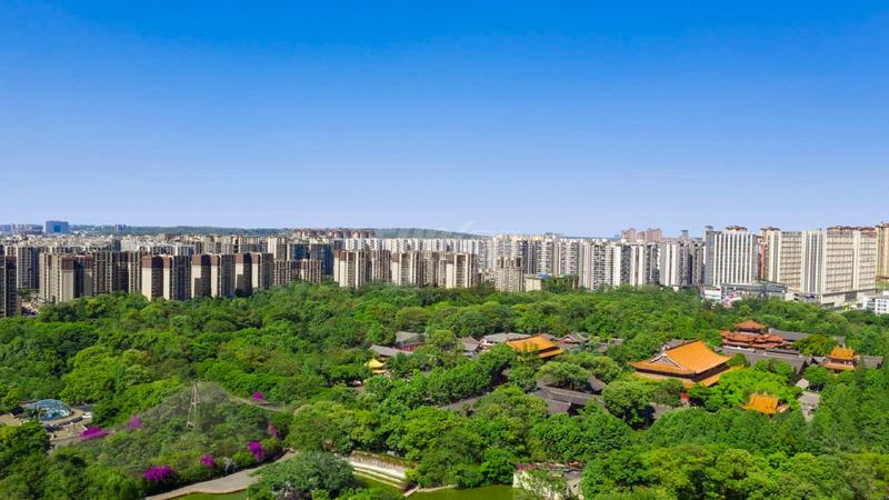 实景图
