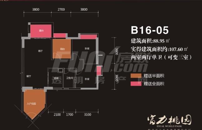 B16-5