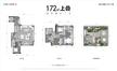 公园九号1期172.00平户型